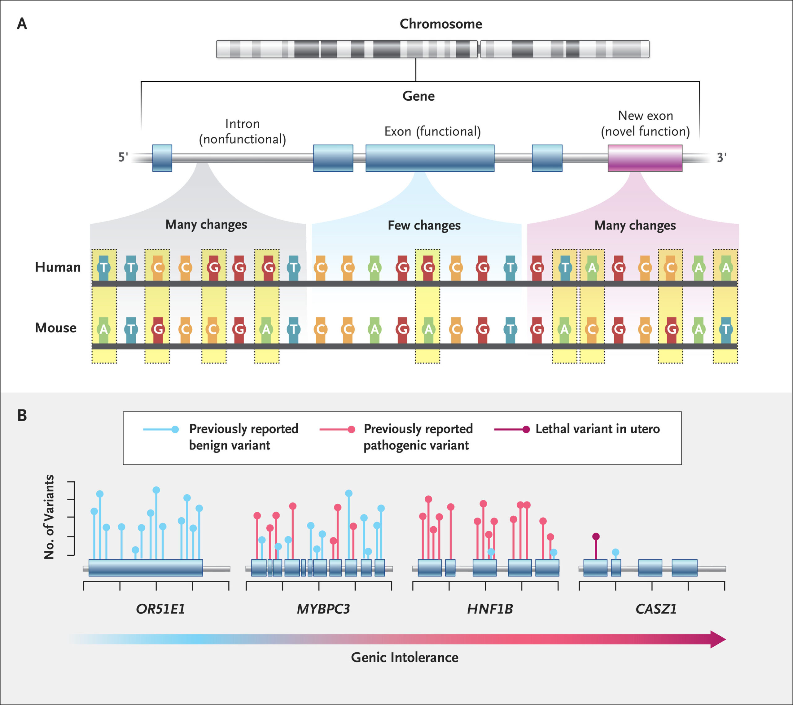 How To Analyze Whole Genome Sequencing Data For Absolute Beginners Part ...