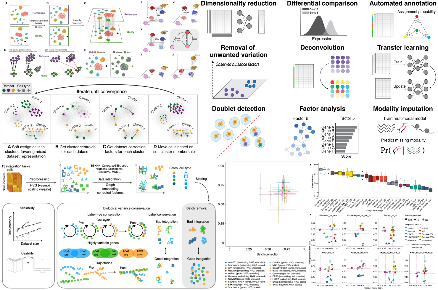 Scinter How to Analyze Single-Cell RNA-seq Data – Complete Beginner’s Guide ...
